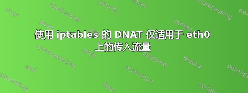 使用 iptables 的 DNAT 仅适用于 eth0 上的传入流量