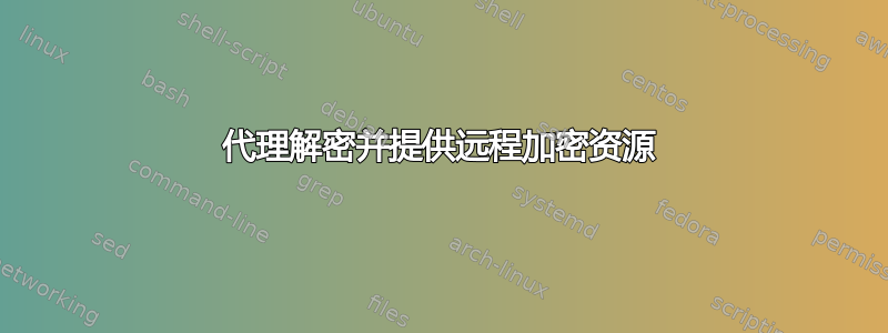 代理解密并提供远程加密资源