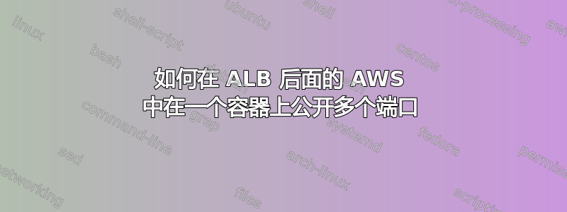 如何在 ALB 后面的 AWS 中在一个容器上公开多个端口