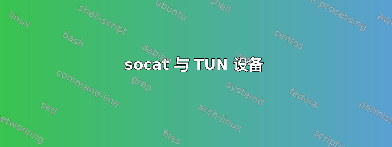 socat 与 TUN 设备