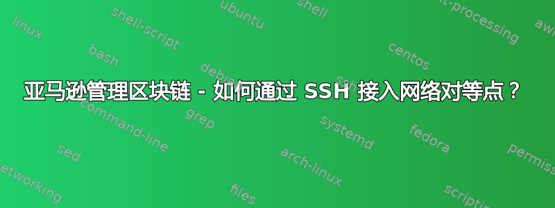 亚马逊管理区块链 - 如何通过 SSH 接入网络对等点？