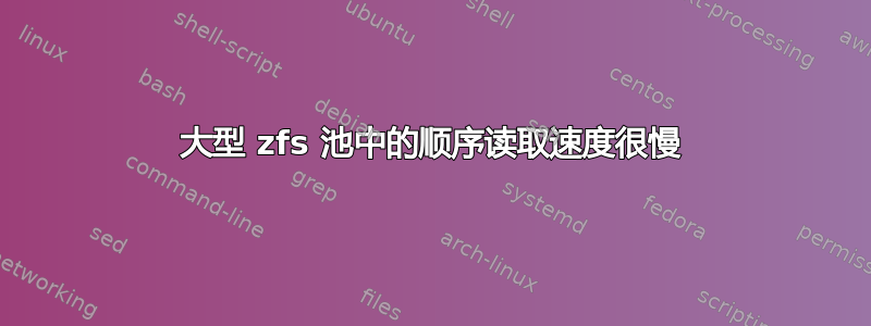 大型 zfs 池中的顺序读取速度很慢