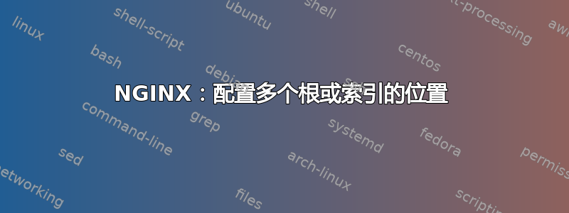 NGINX：配置多个根或索引的位置