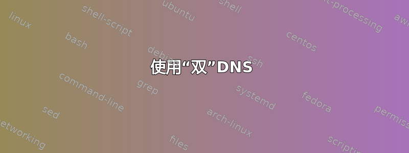 使用“双”DNS