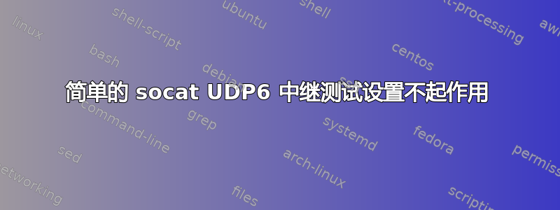 简单的 socat UDP6 中继测试设置不起作用