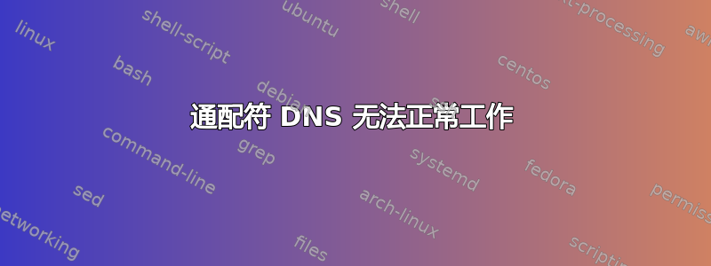 通配符 DNS 无法正常工作