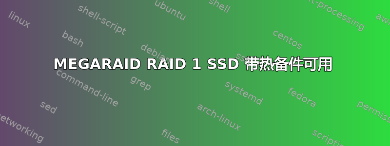 MEGARAID RAID 1 SSD 带热备件可用