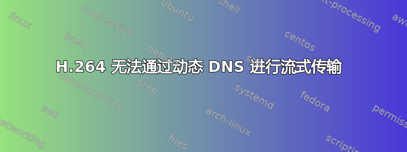 H.264 无法通过动态 DNS 进行流式传输 