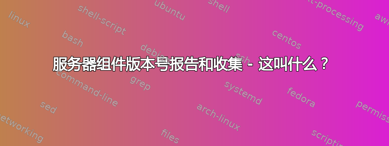 服务器组件版本号报告和收集 - 这叫什么？