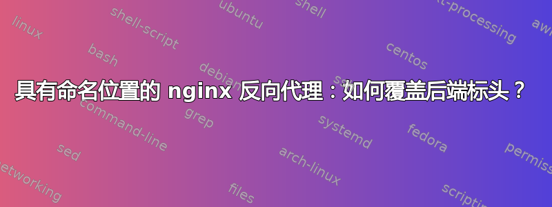 具有命名位置的 nginx 反向代理：如何覆盖后端标头？