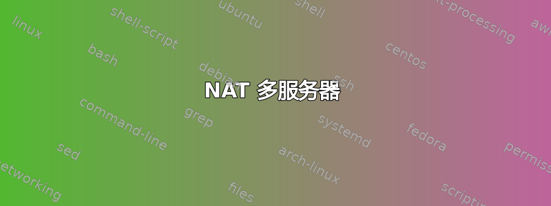 NAT 多服务器