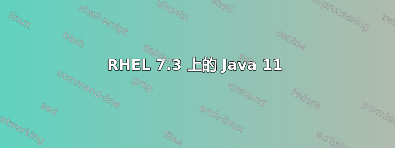 RHEL 7.3 上的 Java 11