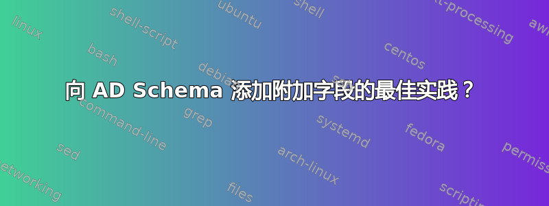 向 AD Schema 添加附加字段的最佳实践？