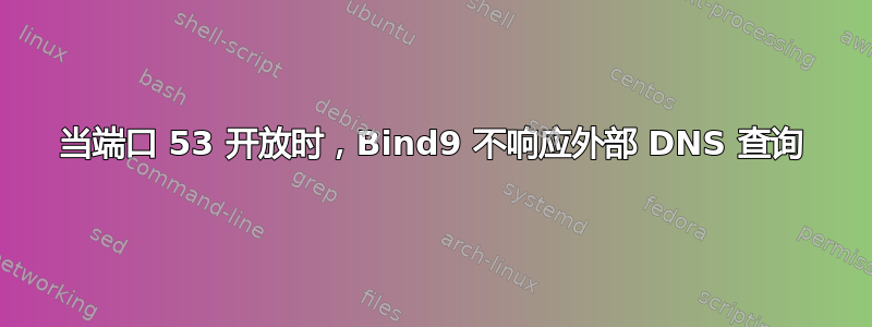 当端口 53 开放时，Bind9 不响应外部 DNS 查询