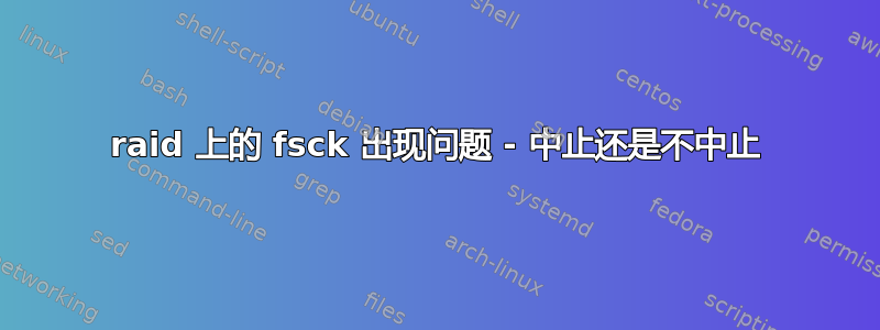 raid 上的 fsck 出现问题 - 中止还是不中止