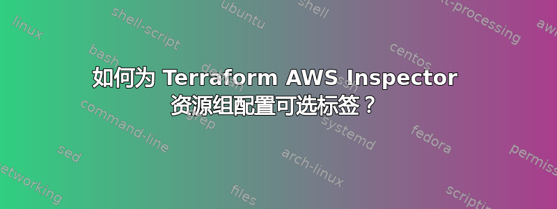 如何为 Terraform AWS Inspector 资源组配置可选标签？