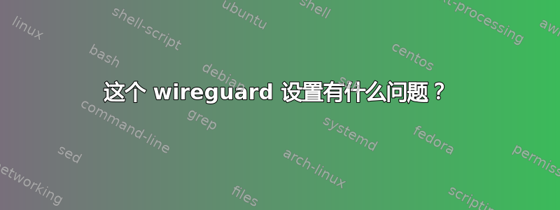 这个 wireguard 设置有什么问题？