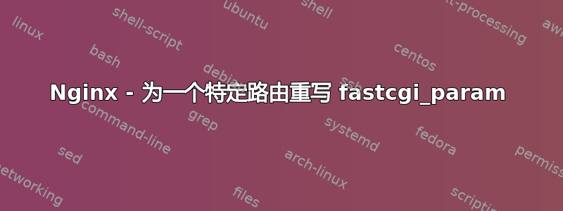 Nginx - 为一个特定路由重写 fastcgi_param