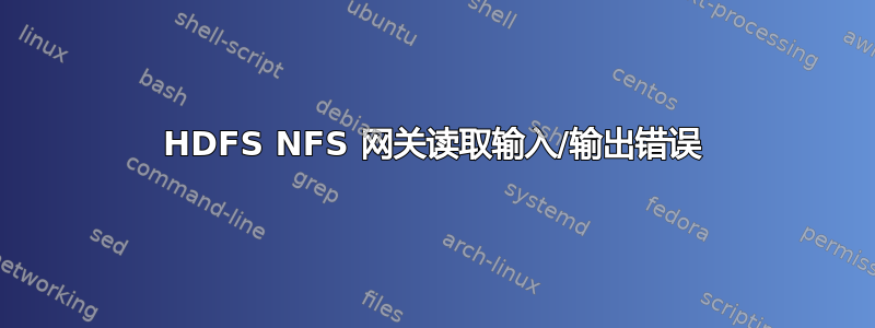 HDFS NFS 网关读取输入/输出错误