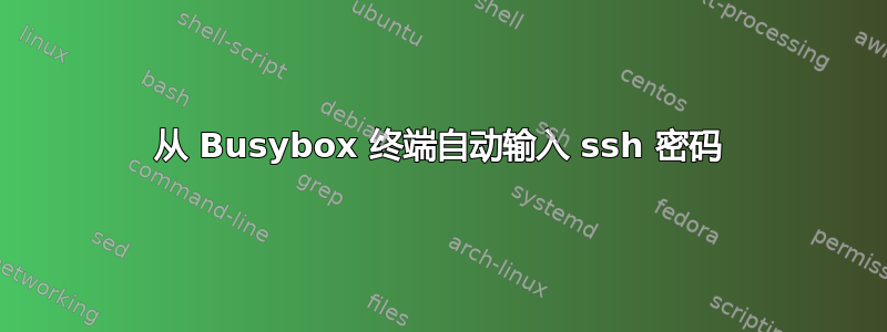 从 Busybox 终端自动输入 ssh 密码