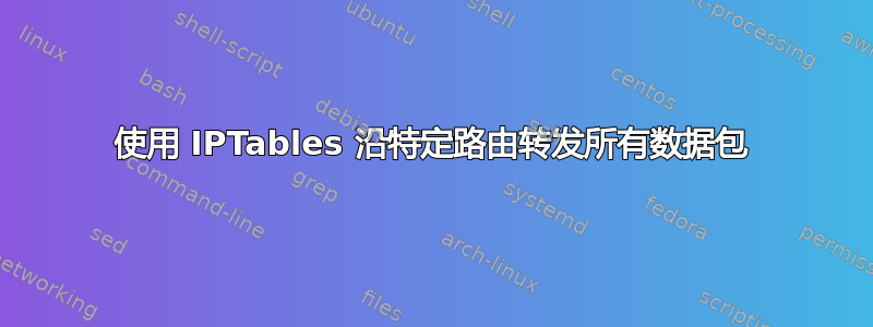 使用 IPTables 沿特定路由转发所有数据包