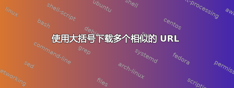 使用大括号下载多个相似的 URL