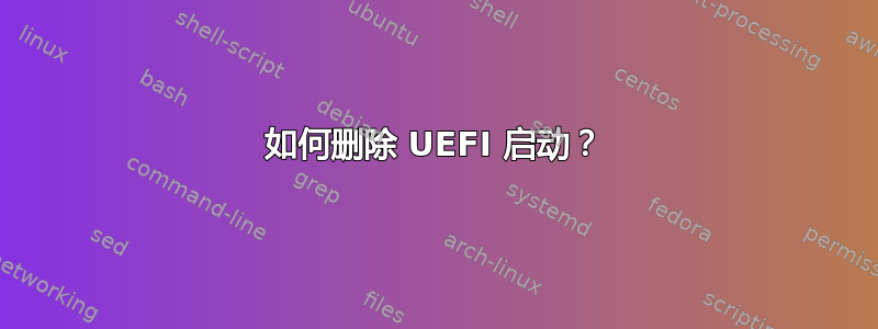 如何删除 UEFI 启动？