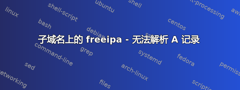 子域名上的 freeipa - 无法解析 A 记录