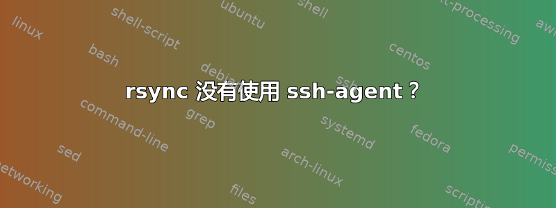 rsync 没有使用 ssh-agent？