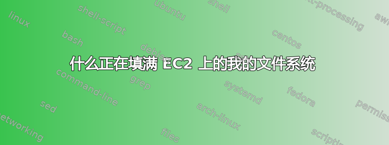 什么正在填满 EC2 上的我的文件系统