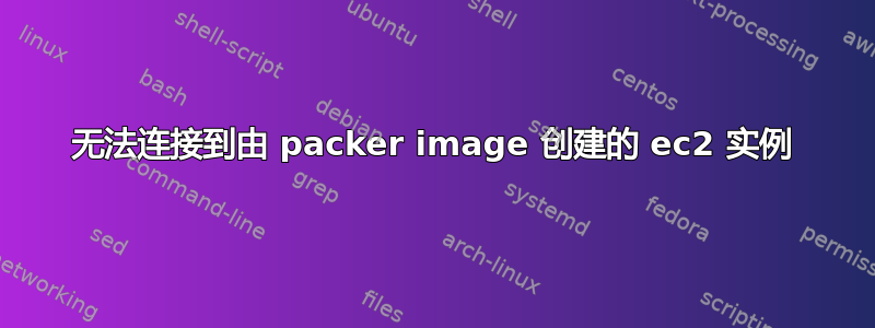 无法连接到由 packer image 创建的 ec2 实例