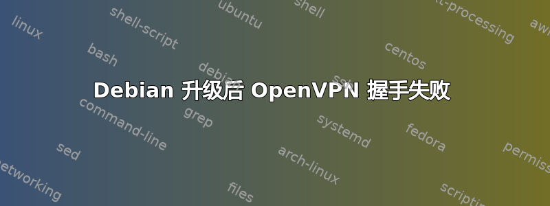 Debian 升级后 OpenVPN 握手失败