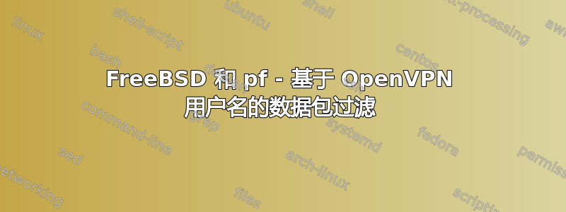 FreeBSD 和 pf - 基于 OpenVPN 用户名的数据包过滤