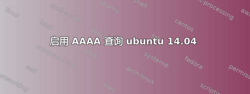 启用 AAAA 查询 ubuntu 14.04