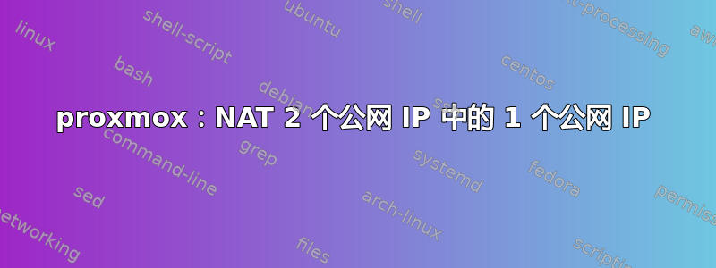 proxmox：NAT 2 个公网 IP 中的 1 个公网 IP