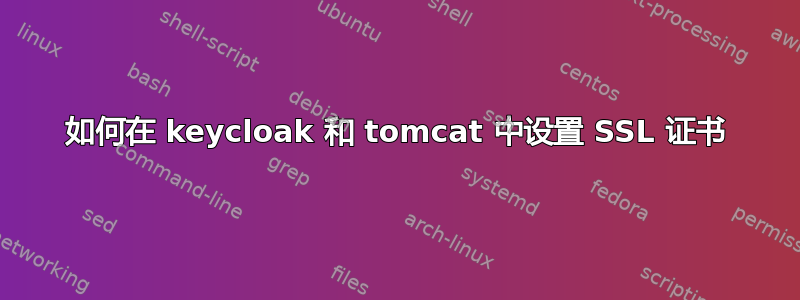 如何在 keycloak 和 tomcat 中设置 SSL 证书