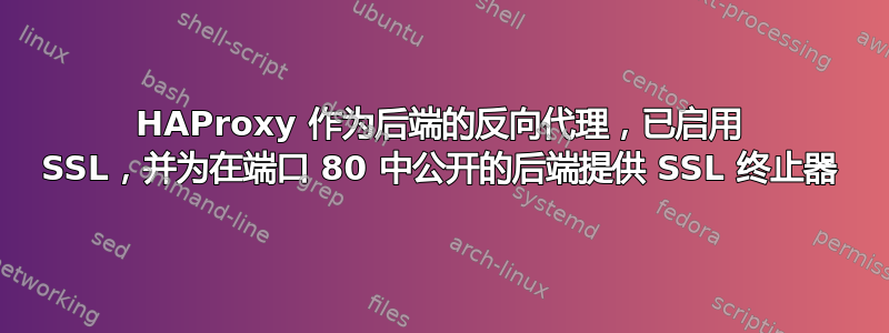 HAProxy 作为后端的反向代理，已启用 SSL，并为在端口 80 中公开的后端提供 SSL 终止器