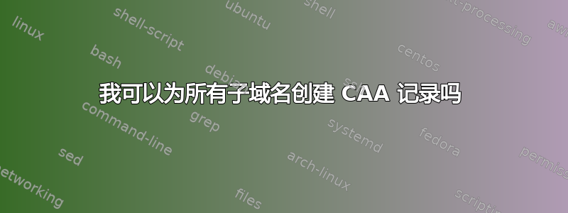 我可以为所有子域名创建 CAA 记录吗