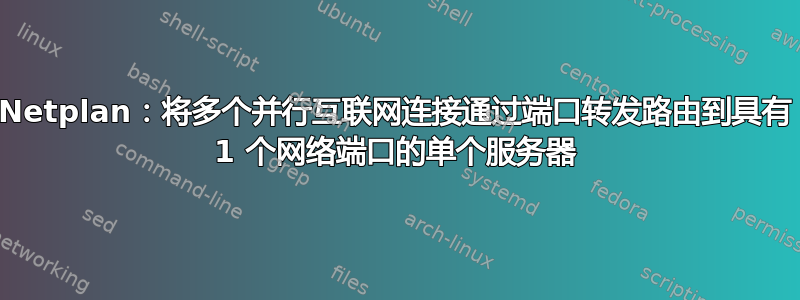 Netplan：将多个并行互联网连接通过端口转发路由到具有 1 个网络端口的单个服务器