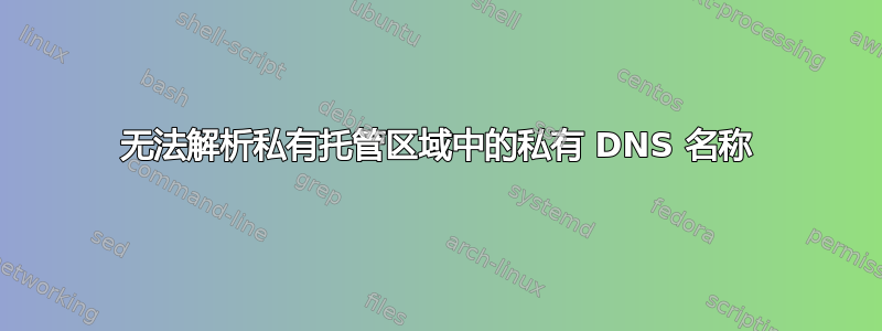 无法解析私有托管区域中的私有 DNS 名称