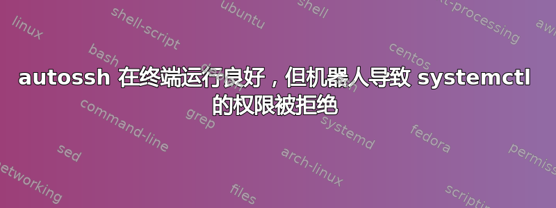 autossh 在终端运行良好，但机器人导致 systemctl 的权限被拒绝