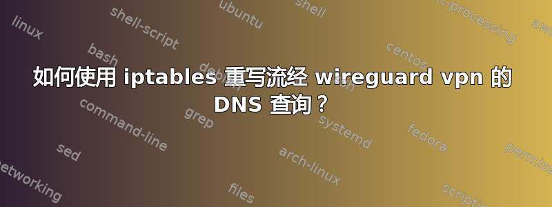 如何使用 iptables 重写流经 wireguard vpn 的 DNS 查询？