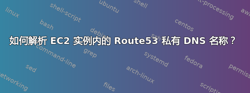 如何解析 EC2 实例内的 Route53 私有 DNS 名称？