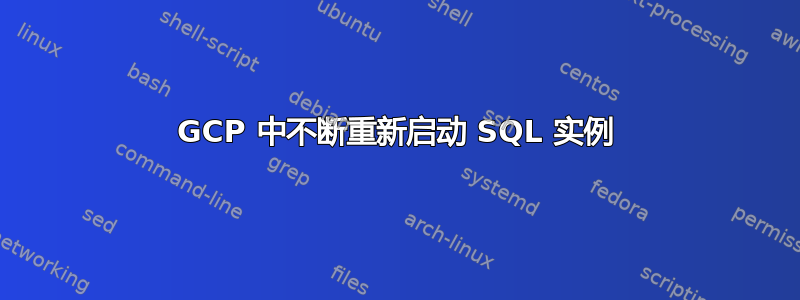 GCP 中不断重新启动 SQL 实例