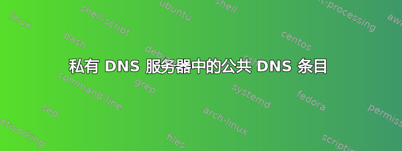 私有 DNS 服务器中的公共 DNS 条目