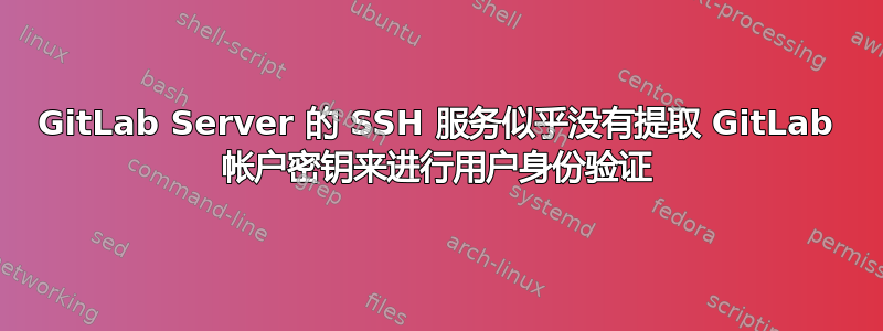 GitLab Server 的 SSH 服务似乎没有提取 GitLab 帐户密钥来进行用户身份验证