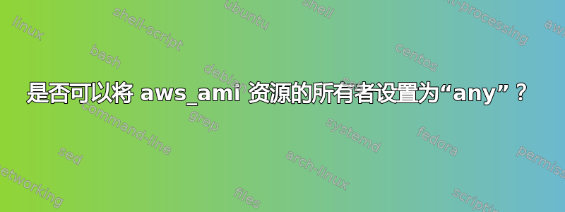 是否可以将 aws_ami 资源的所有者设置为“any”？