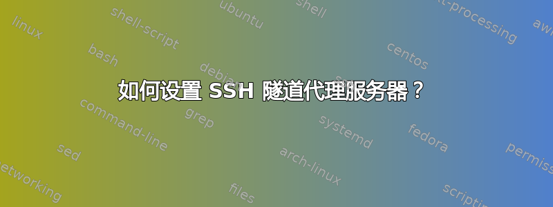 如何设置 SSH 隧道代理服务器？