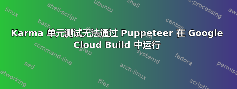 Karma 单元测试无法通过 Puppeteer 在 Google Cloud Build 中运行