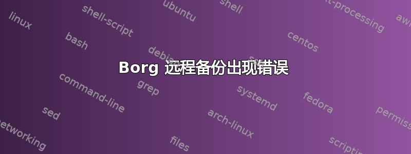 Borg 远程备份出现错误